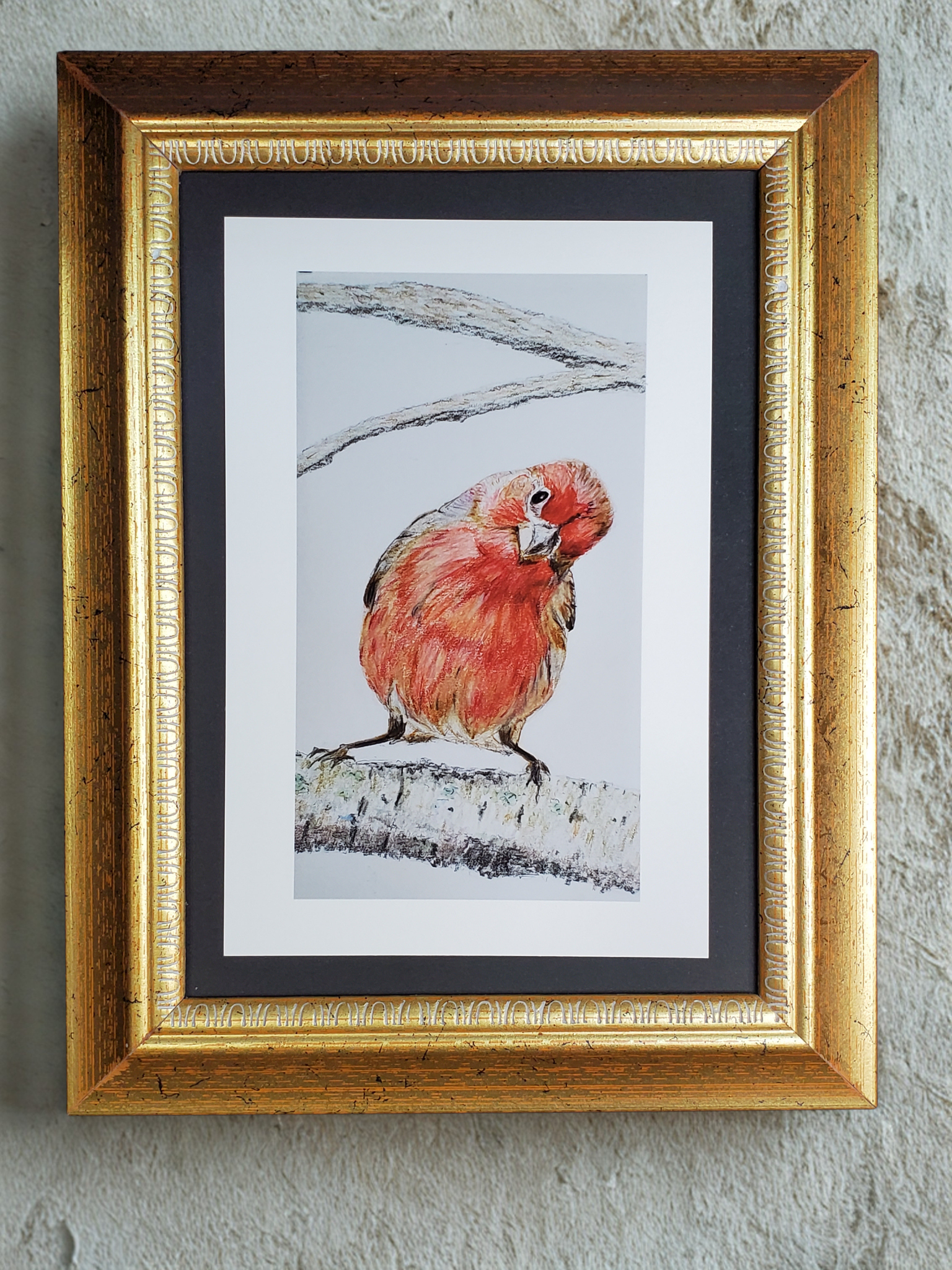 Curious Finch 4x6 Print - Original hand-drawn artwork