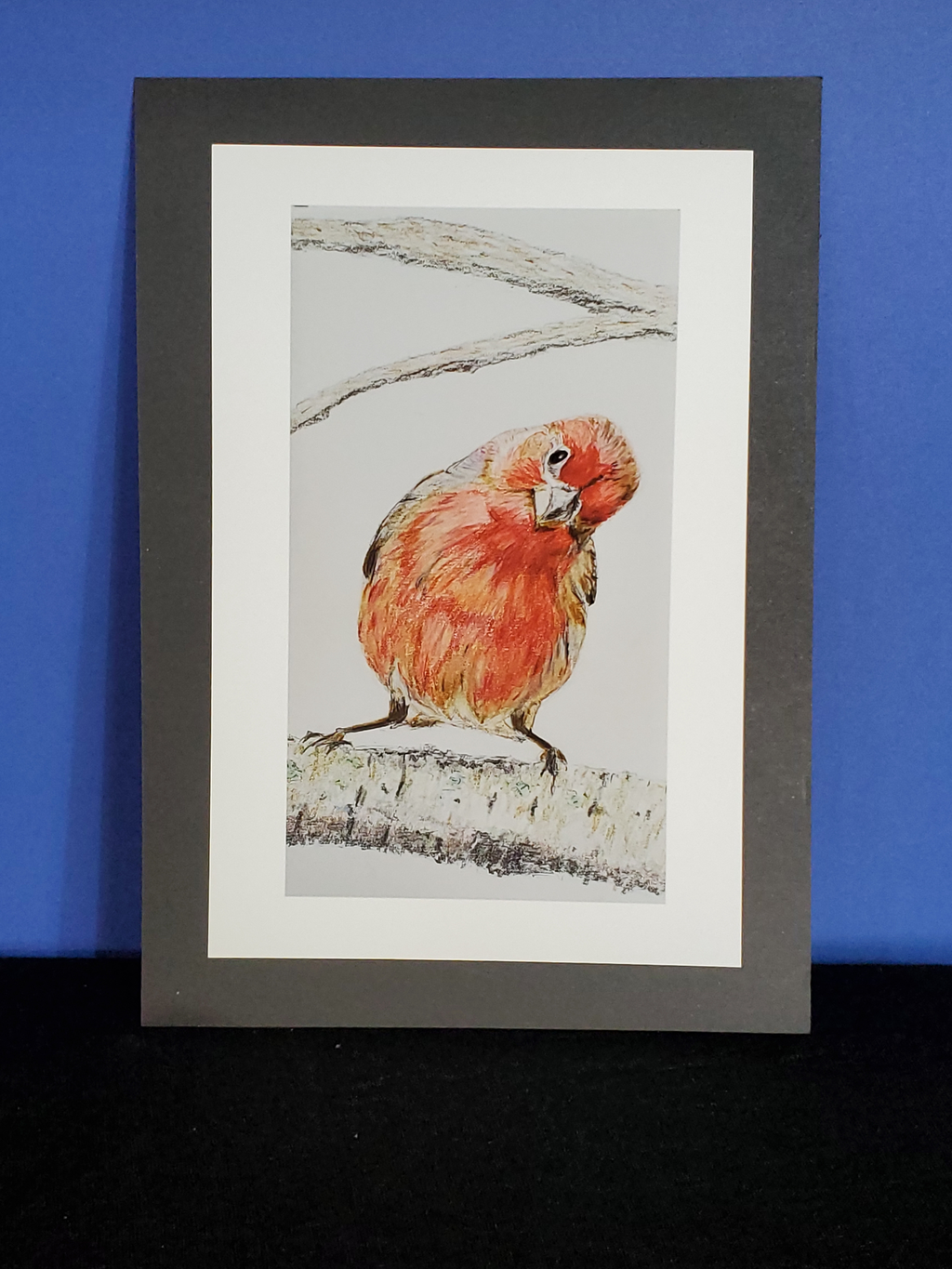 Curious Finch 4x6 Print - Original hand-drawn artwork
