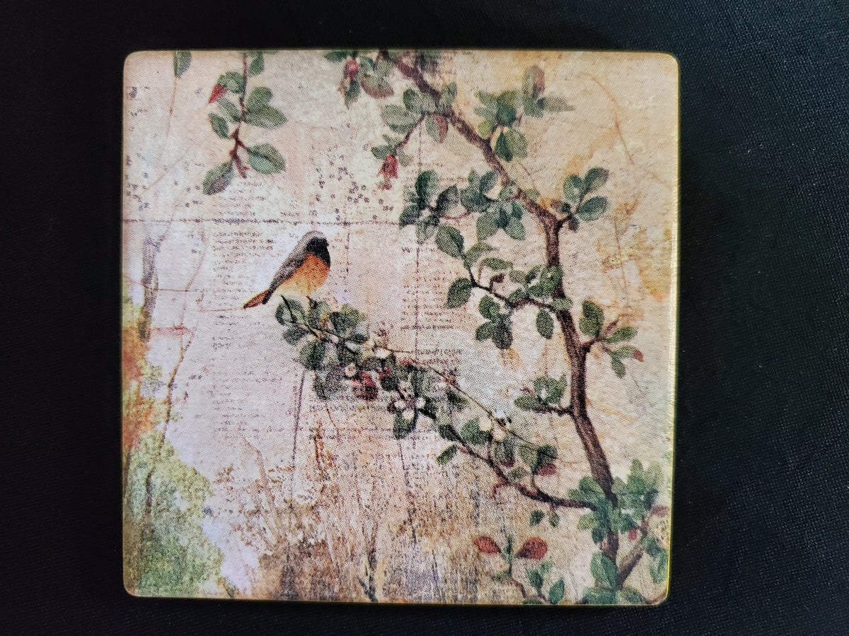 Hedgehog Haven Ceramic Coasters - set of four