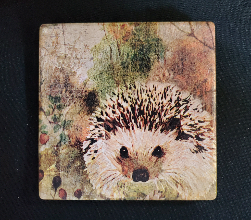 Hedgehog Haven Ceramic Coasters - set of four