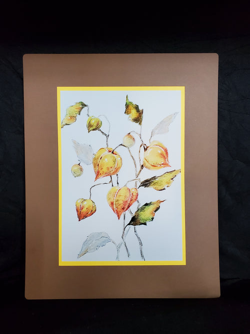 Chinese Lanterns 5x7 Print - Original hand-drawn artwork