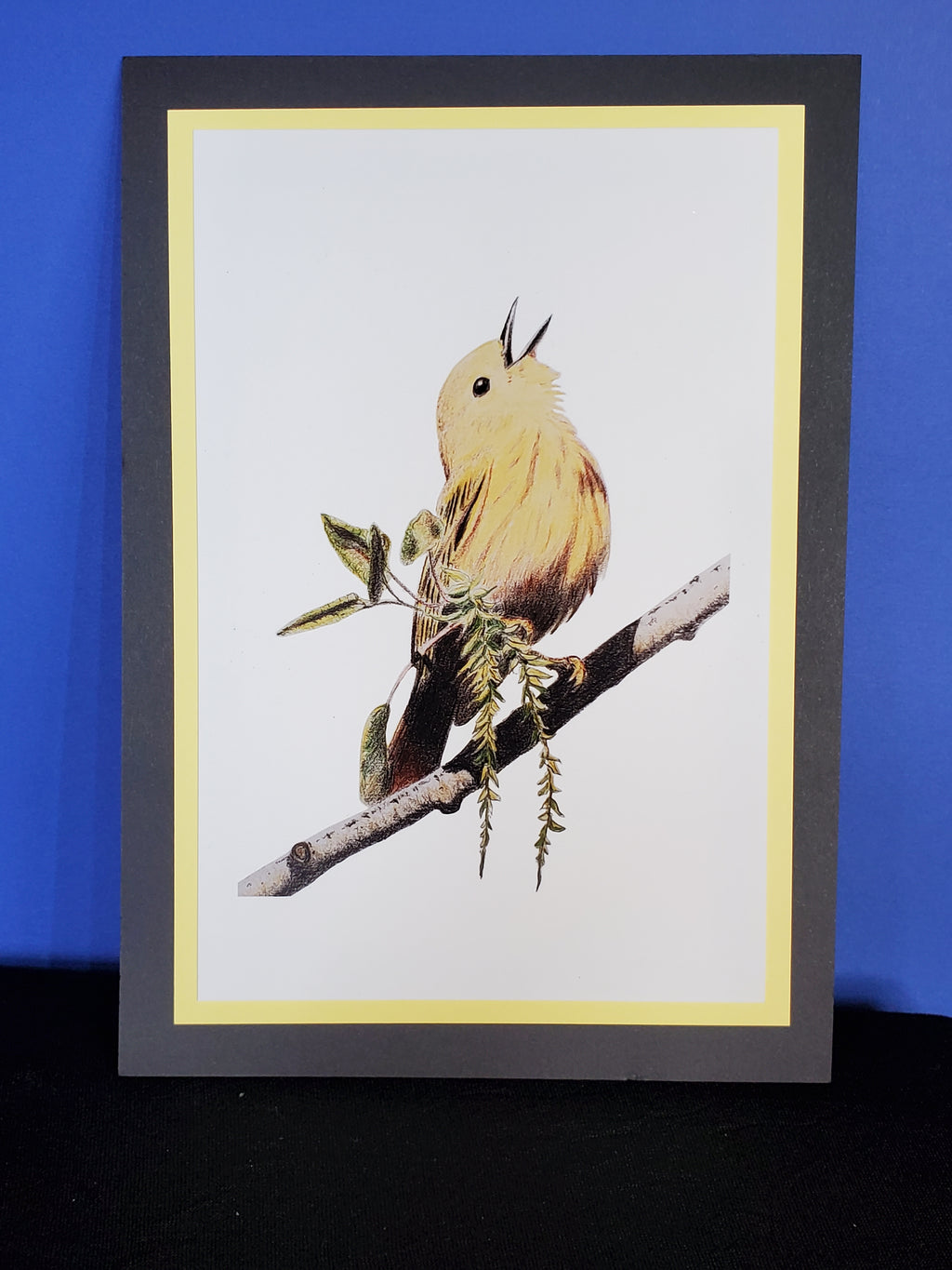 Yellow Warbler 4x6 Print