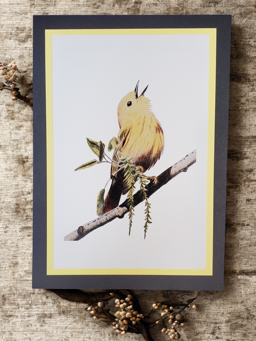 Yellow Warbler 4x6 Print